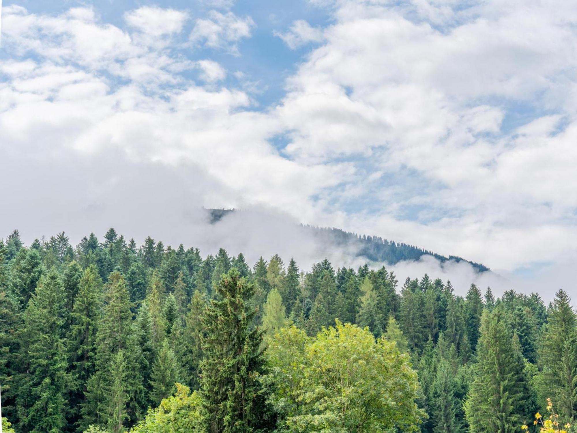 Pension Blaiken Xl Scheffau am Wilden Kaiser Bagian luar foto